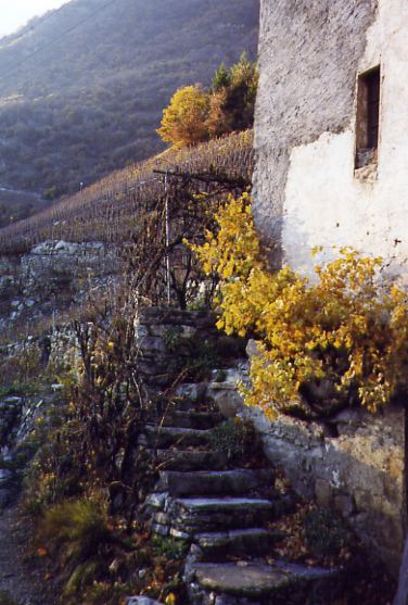 Tassonnières (Fully)